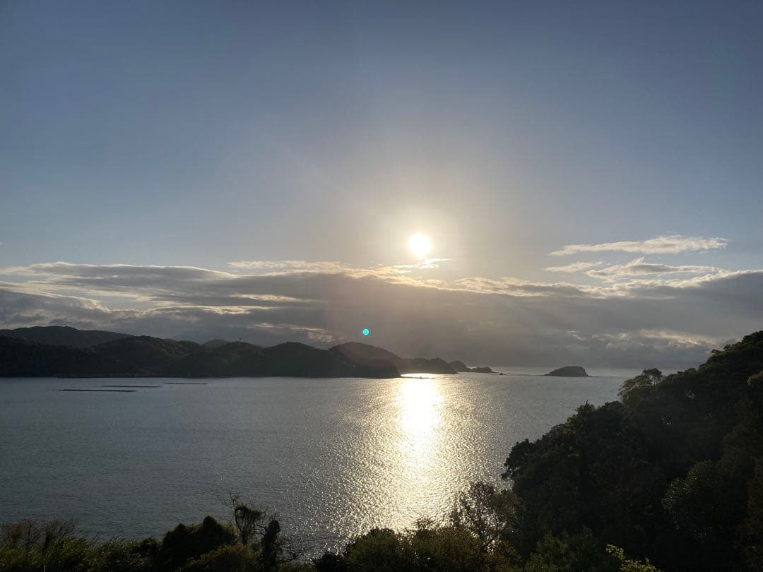 カズ　ニホンミツバチ　日本蜜蜂　生ハチミツ　1120g✖️2本