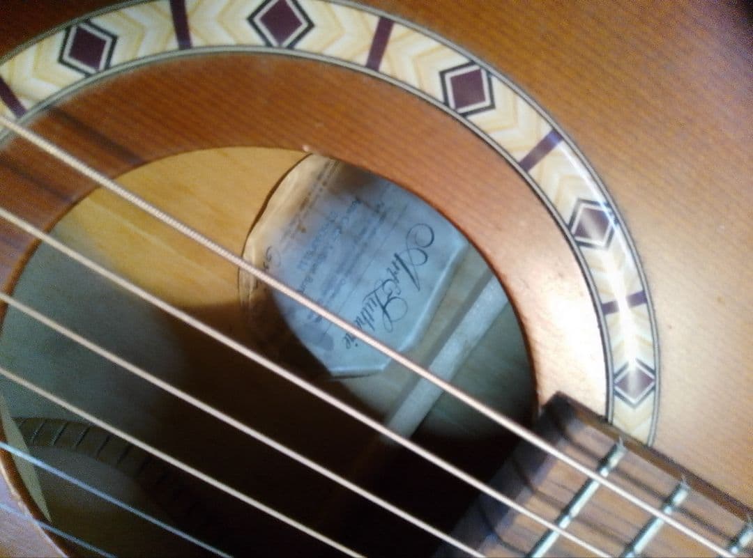 s*l様 Art＆Lutherieアートルシアー ami ゴダンgodin製