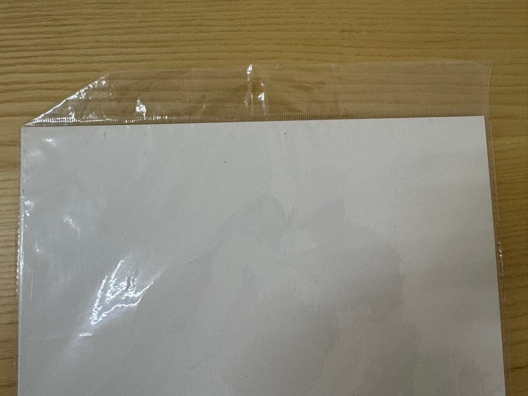 ONE PIECE 3Dポスター　ナミ　ハンコック　ロビン　ペローナ