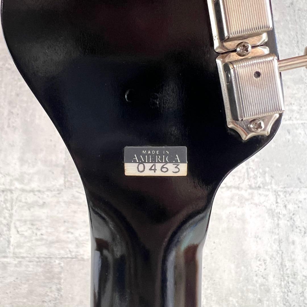 希少USA製 Jerry Jones Electric Sitar エレキギター