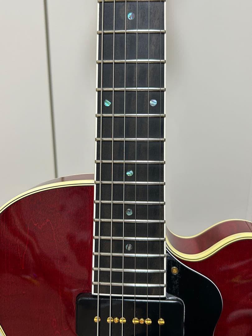 ギター ROZEO Ladybug-CB BG-CTM Bigsby