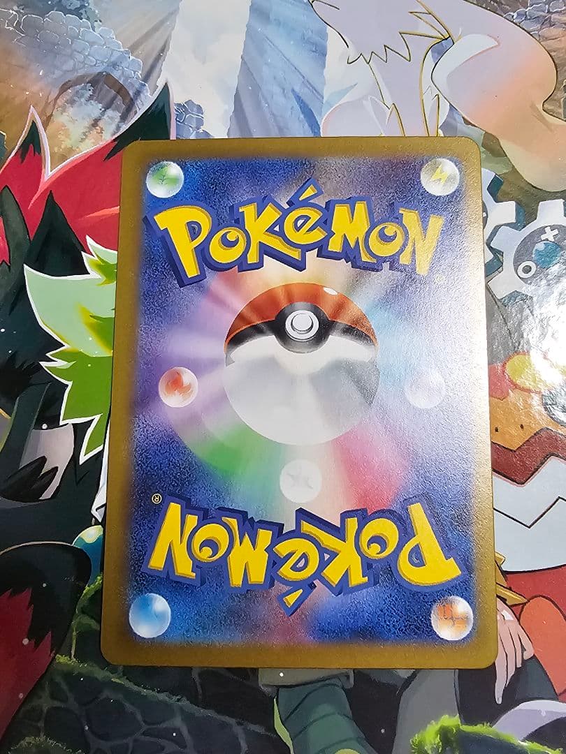 メイのはげまし　SAR sar