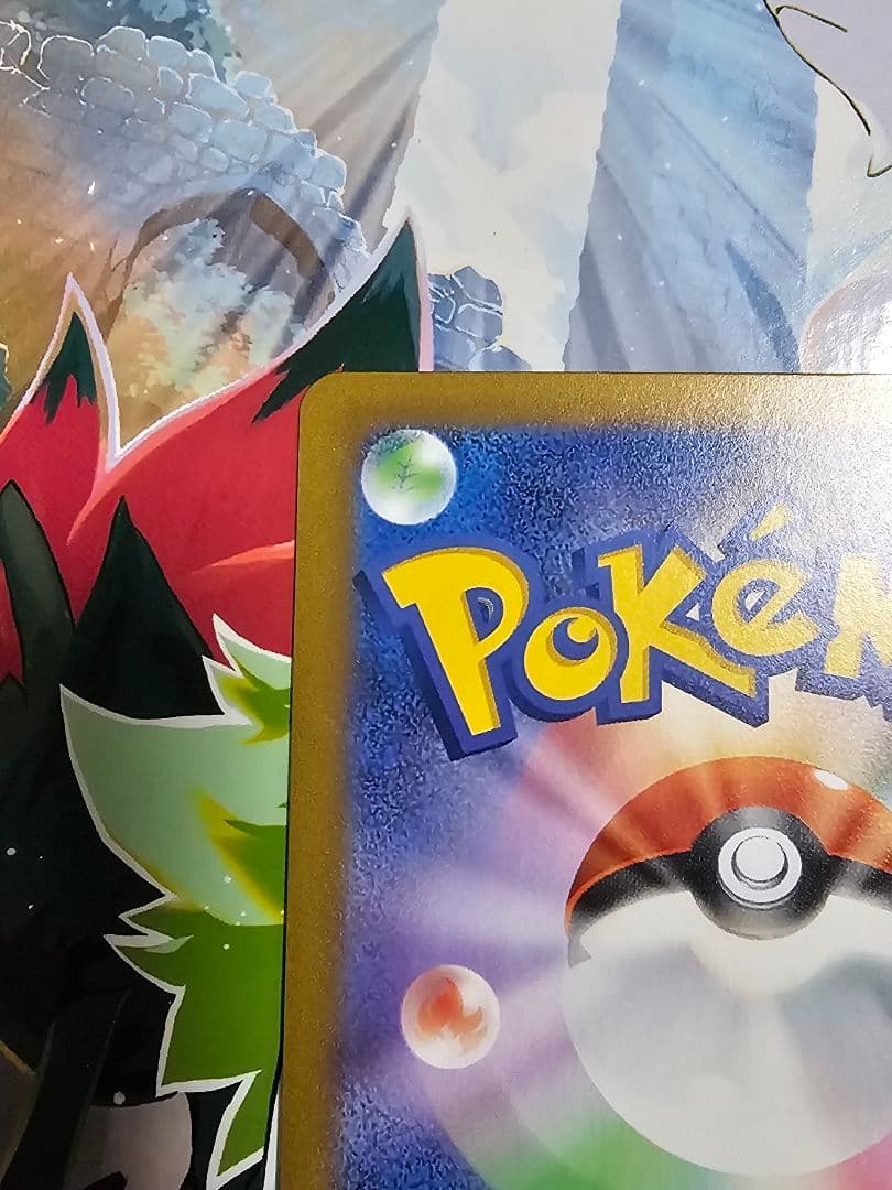 メイのはげまし　SAR sar