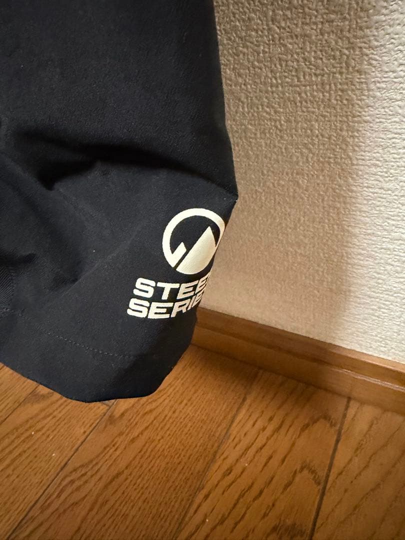 THE NORTH FACE RTG GORE-TEX ビブパンLサイズ