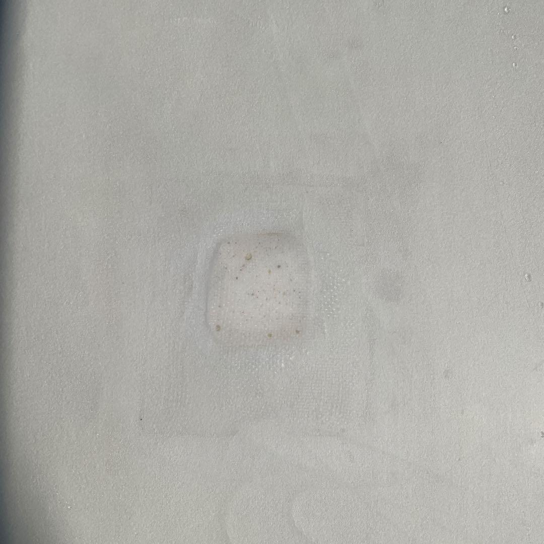 ネックベアード3(ジャパンモデル) 5.7 28L