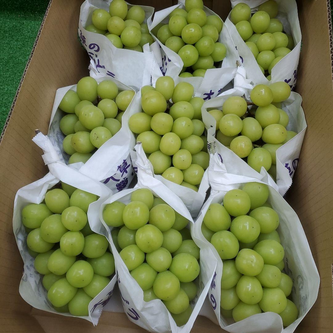 7️⃣8️⃣ 山梨県産 シャインマスカット 箱込み5.7キロ