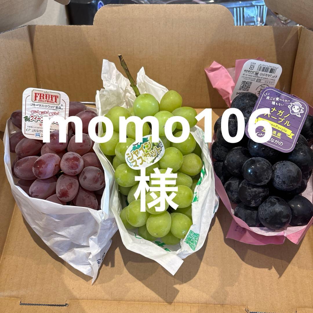 momo106様 長野三姉妹 しょうがの佃煮5