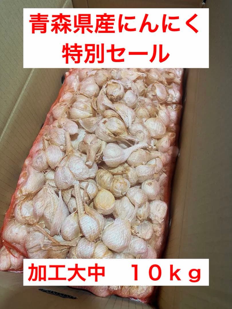 青森県産にんにく　加工　大中　１０ｋｇ　特別セール