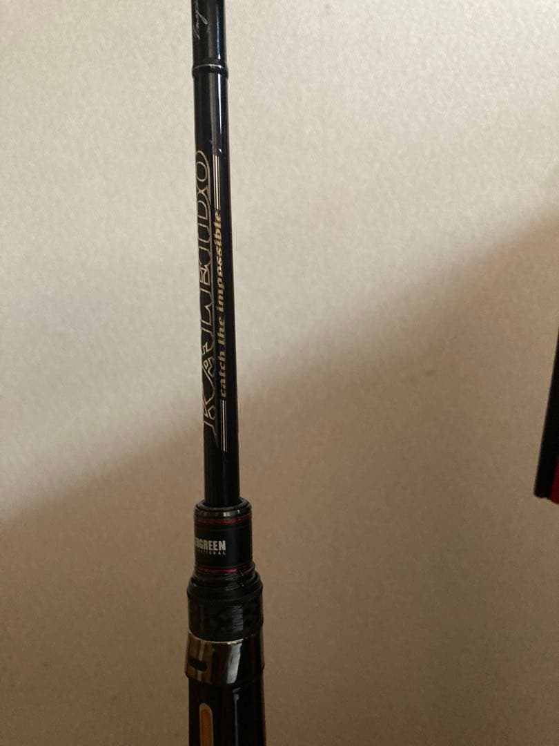 ヒステリック　未使用カレイドブラックレイブンエクストリーム