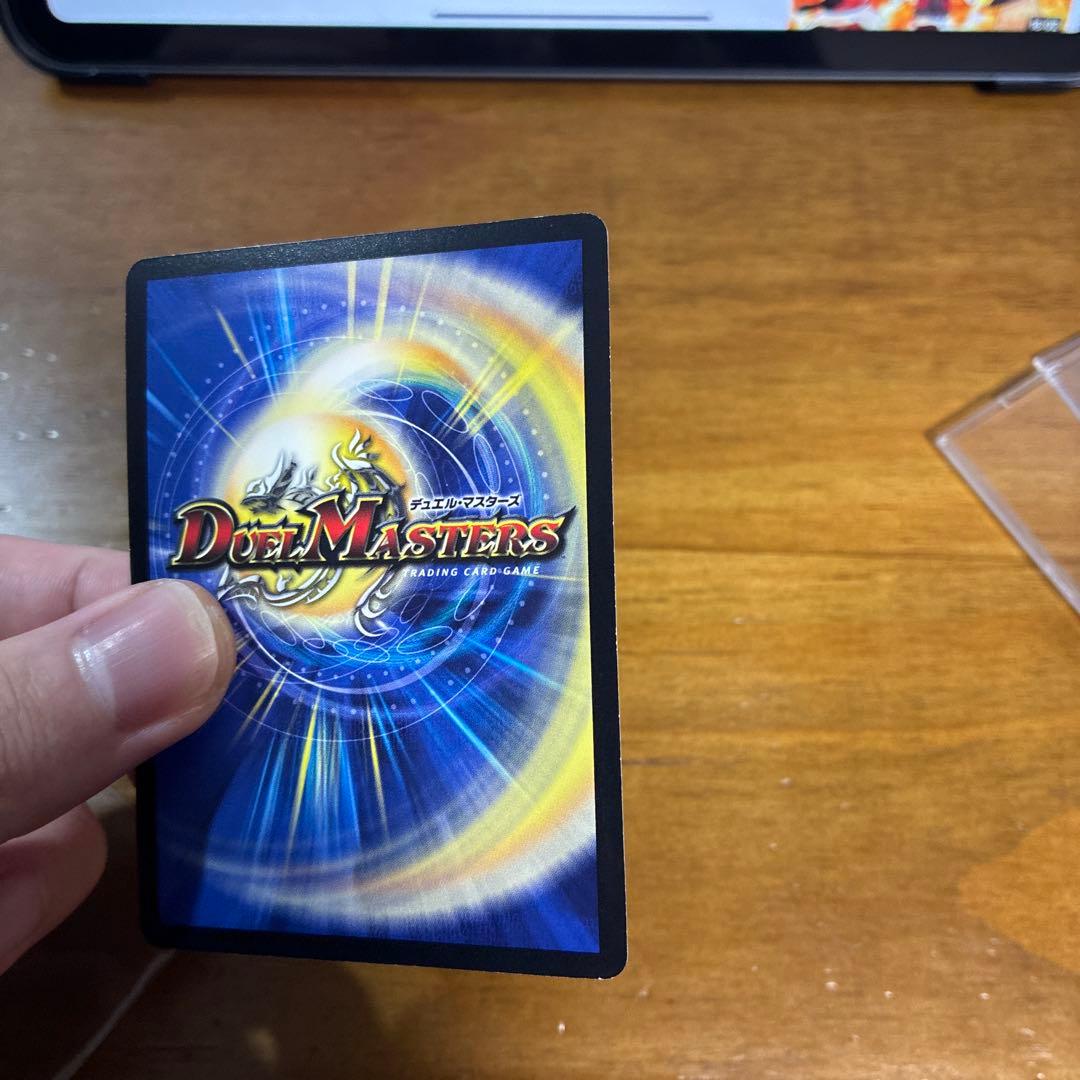 偽りの王ヴィルヘルム　CS プロモ