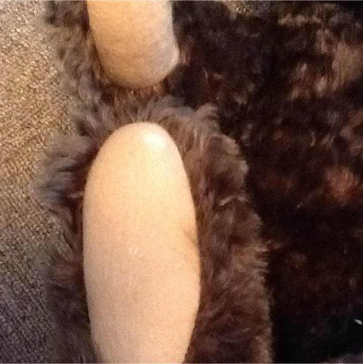 ザ*A様 シュタイフ テディベア