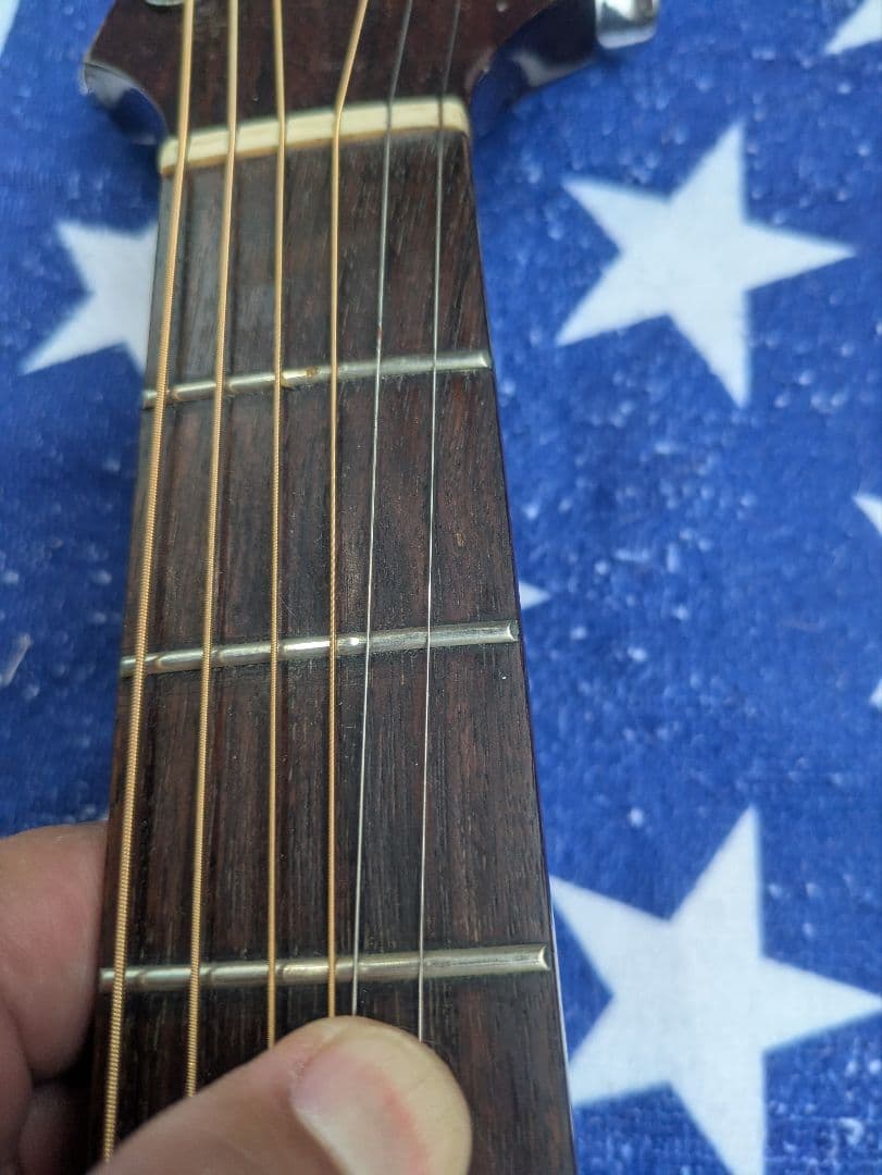 タカミネ　PT-106