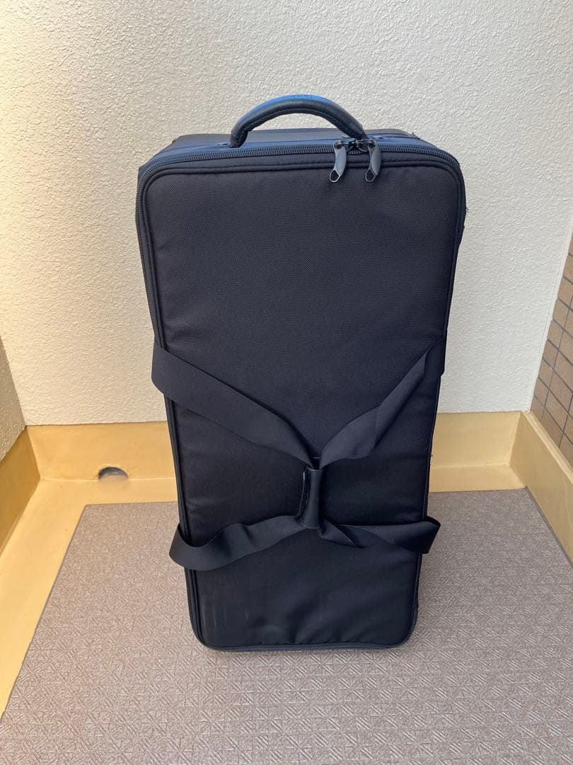 【非売品】ECCO シューズ用キャリーケース エコー 〈非売品〉