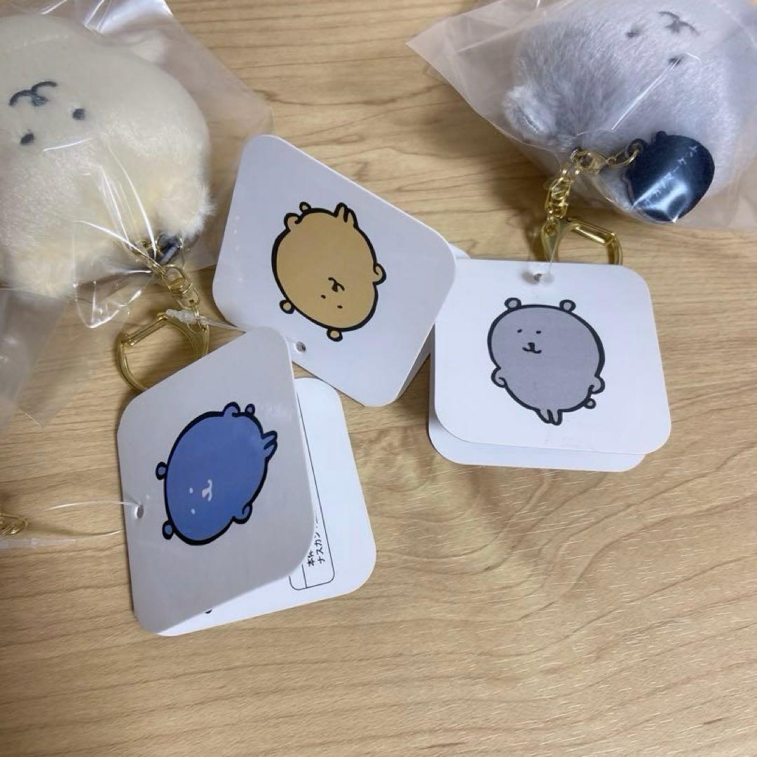 韓国限定 カラーなナガノのくまマスコット 3点セット