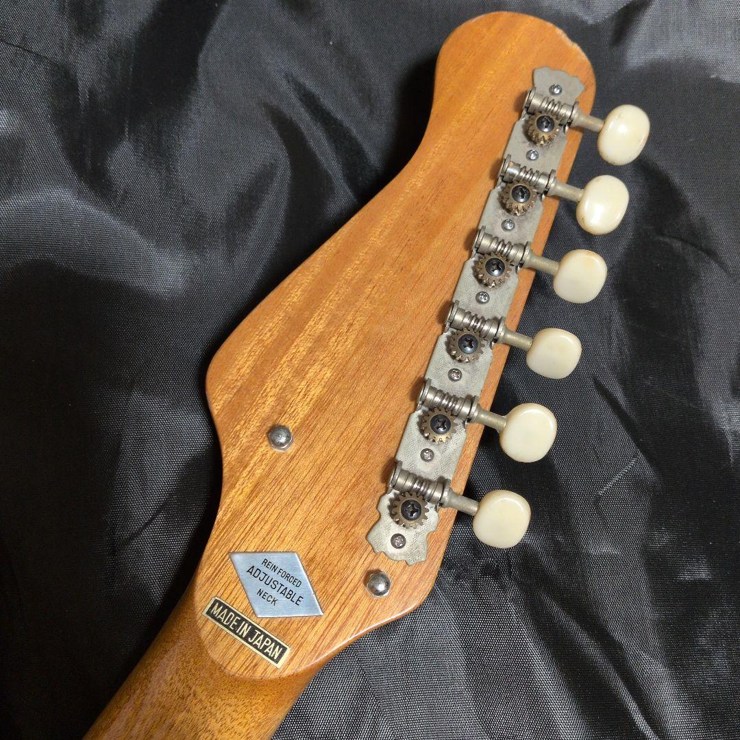 キングオブビザール！！ エレキギター☆テスコデルレイ！