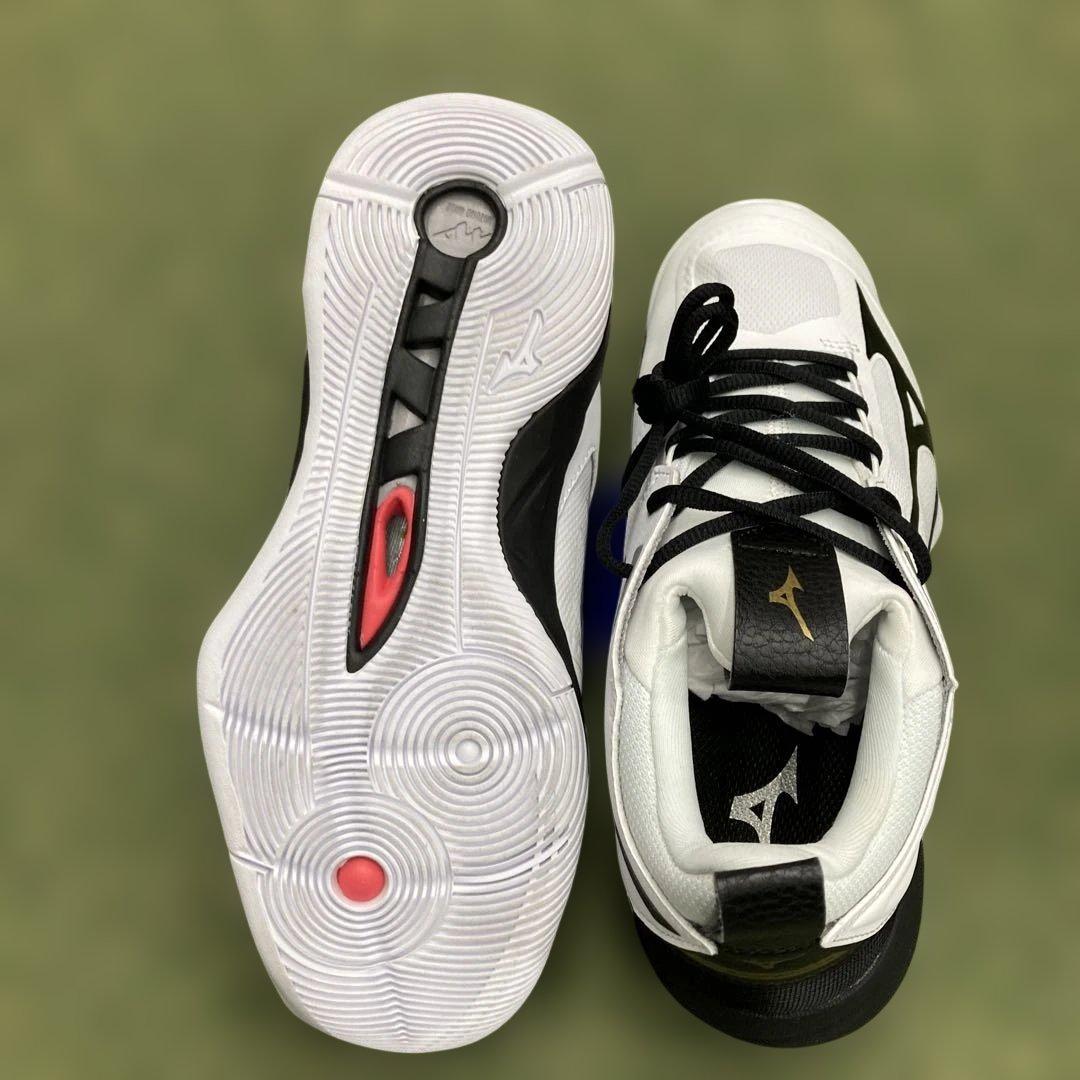 ミズノ　V1GA211209 24.5㎝ ウエーブモーメンタム2