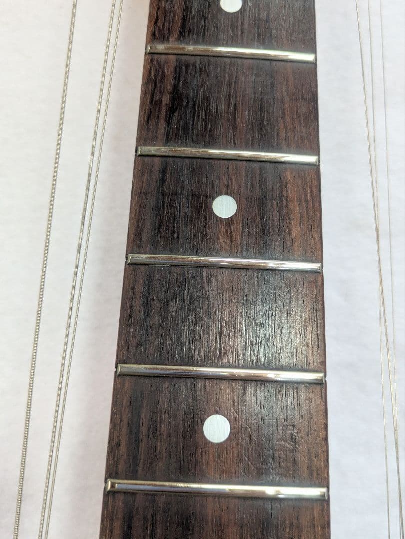 フライングV　マイケルシェンカータイプ　多分Tomson 送料無料