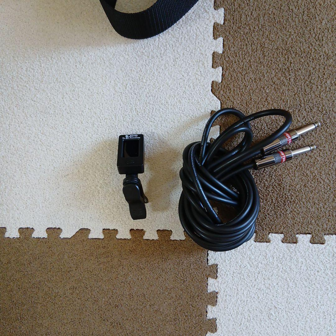 FERNANDES THE FUNCTION エレキギター