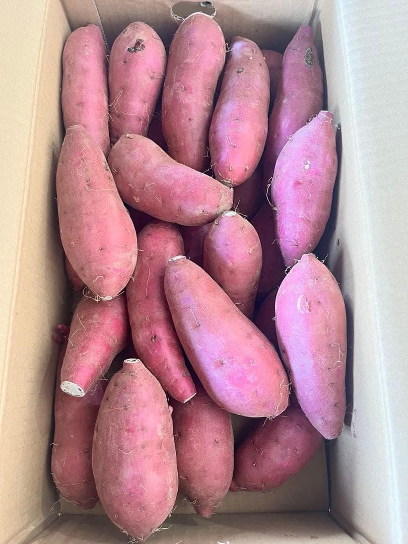 熊本県県産　新物紅はるかA品Mサイズ20キロ