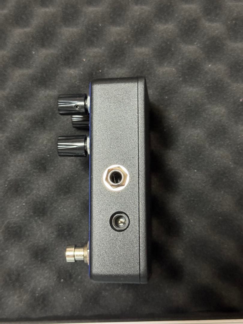 ギター Animals Pedal Custom Illustrated CCV