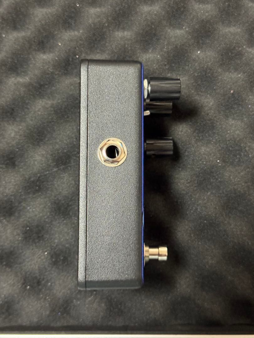 ギター Animals Pedal Custom Illustrated CCV