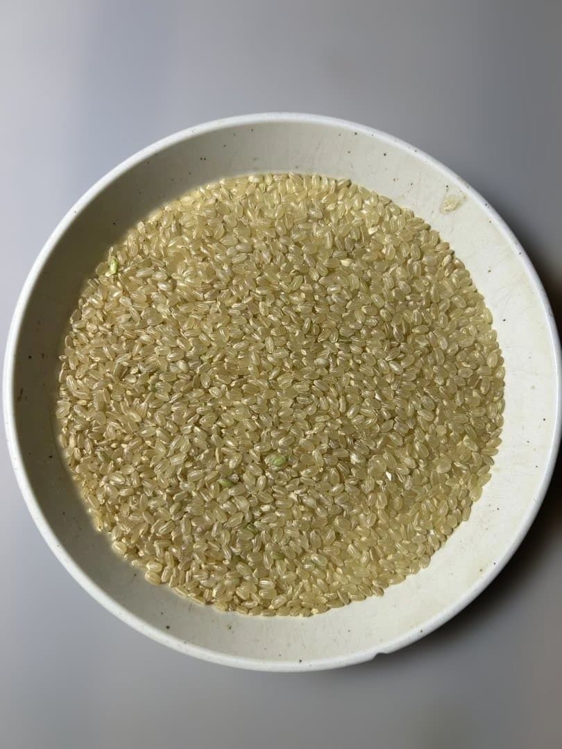 令和7年産玄米15kg