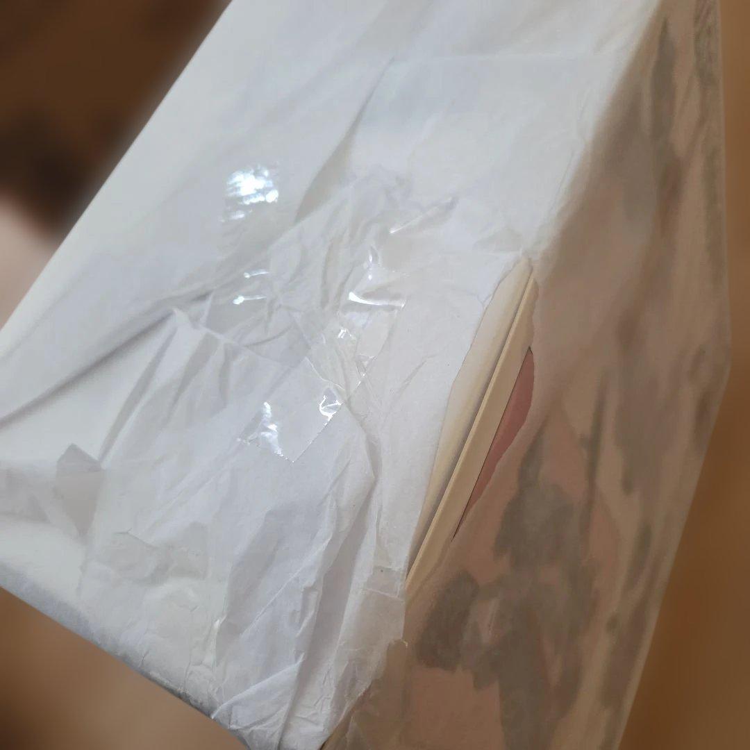 新品未開封品 RIOBOT ドラグナー1 カスタム