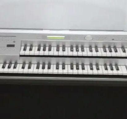 ELB-01 ステージア　ミニ 送料込み（離島除く）