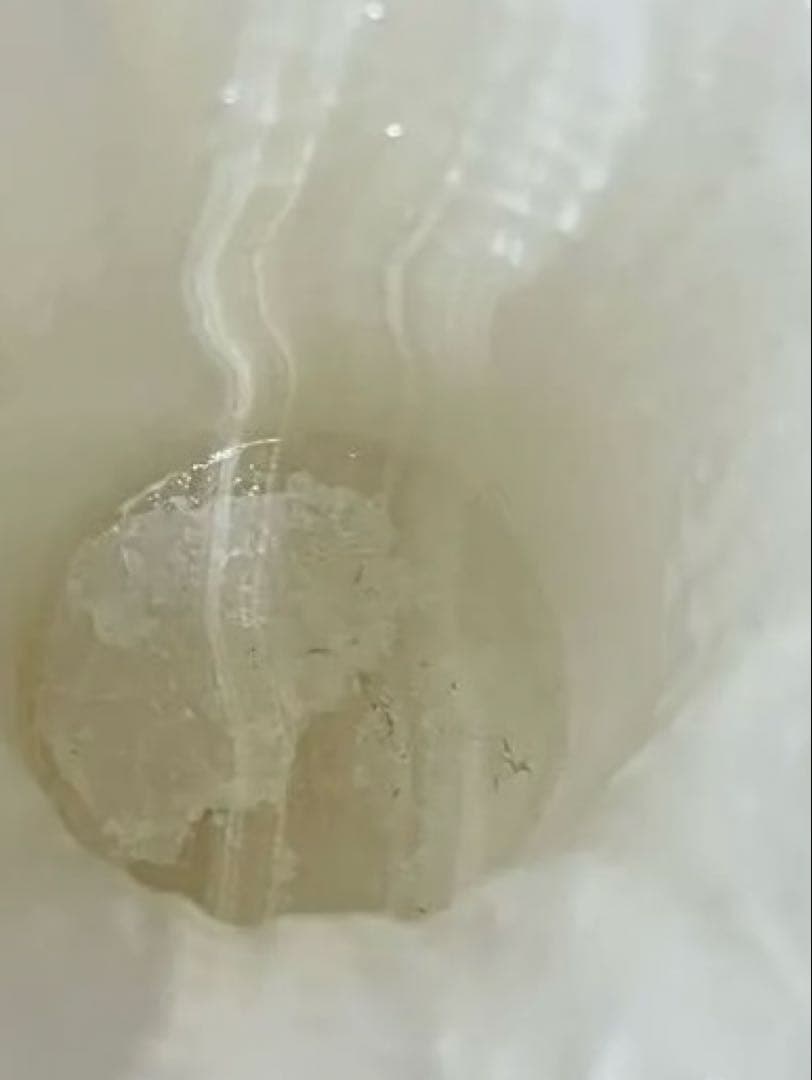 白玉石　富貴牡丹 中国美術