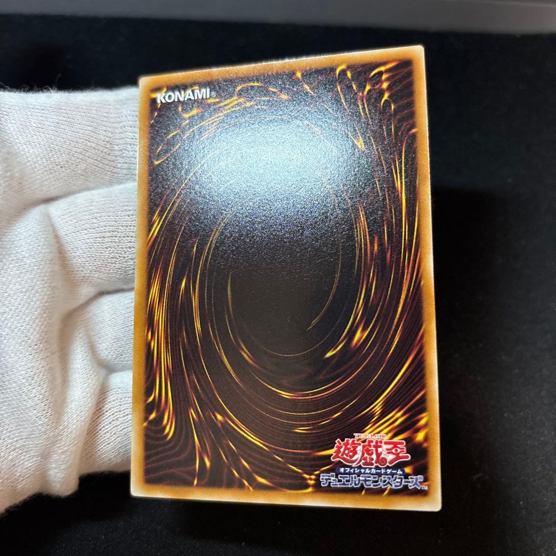 ブラックローズドラゴン レリーフ