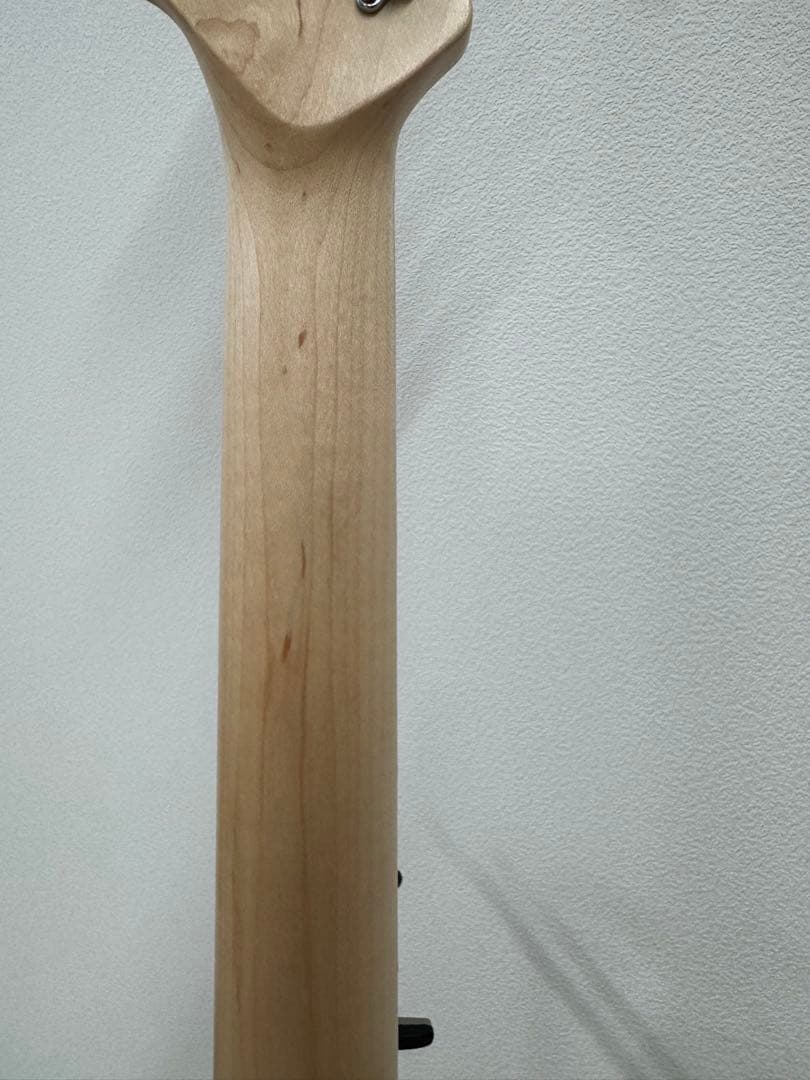 エレキギター　SCHECTER【スポット限定生産モデル!!】