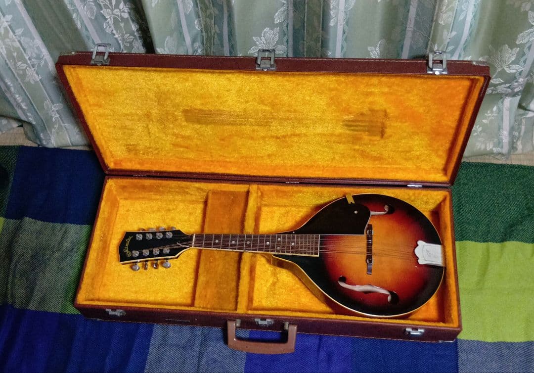 JUNBOフラットマンドリンハードケース付き