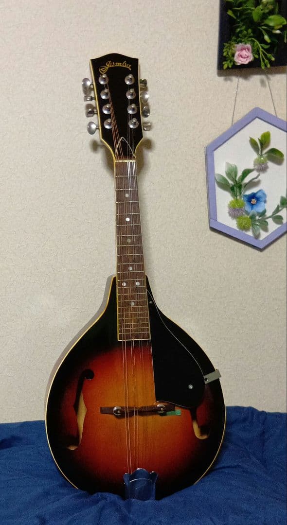 JUNBOフラットマンドリンハードケース付き