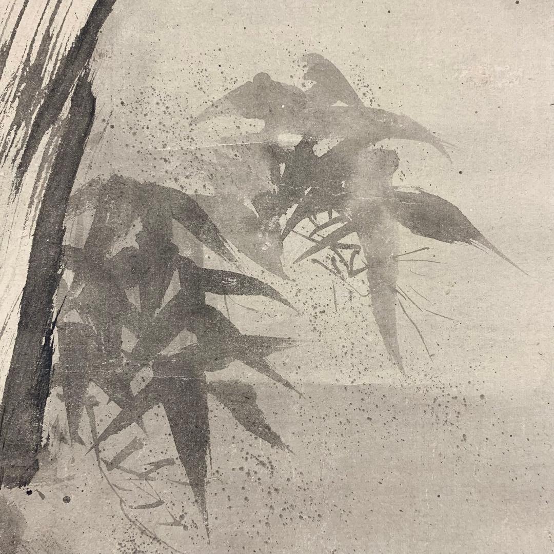 掛軸 狩野探信 虎 水面 水墨画 とら